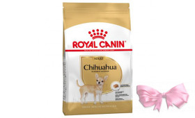 Royal Canin CHIHUAHUA ADULT (ЧИХУАХУА ЭДАЛТ) корм для собак от 8 месяцев