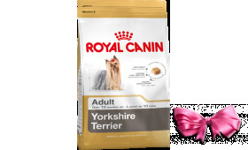 Royal Canin YORKSHIRE TERRIER ADULT (ЙОРКШИР ТЕРЬЕР ЭДАЛТ) корм для собак от 10 месяцев