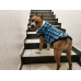  Куртка "Tartan" для крупных собак