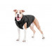 Курточка для собак AiryVest ONE