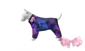 Дождевик для собак WAUDOG Clothes, рисунок "NASA21"