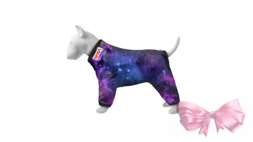 Дождевик для собак WAUDOG Clothes, рисунок "NASA21"