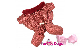 Зимній комбінезон для собак ForMyDogs  шовк.підклад для дівчаток бордо