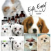 Набір Eye Envy Dog Starter Kit No2 (для собак) - Оригінал!