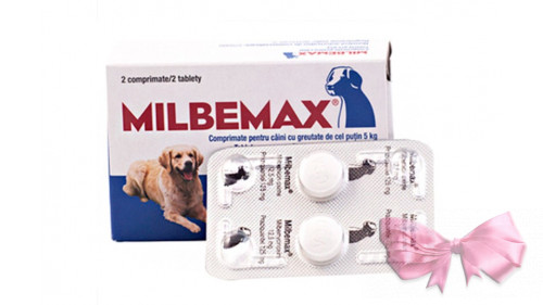Milbemax (Мільбемакс) - антигельмінтний препарат широкого спектру дії для середніх та великих собак (вага від 5 до 25 кг)