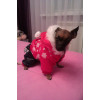 pinkstripjumper